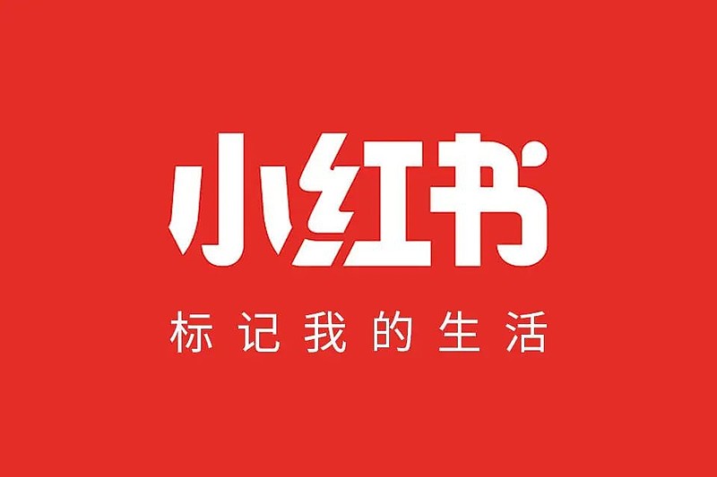 数据报告